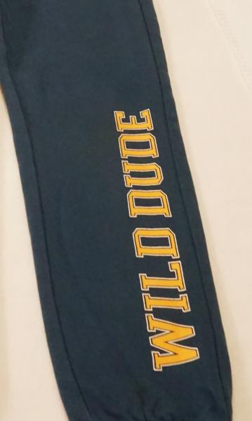 Sweathose Gr. 134 von C&A (1494)